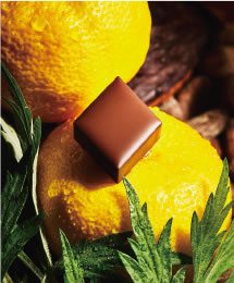 No.1テロワール能登